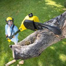 Best Pest Control for Lawns  in Woodbridge, CA